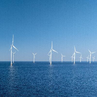"Der Bau von Windparks auf See rechnet sich nicht mehr" - Karina Würtz (Klima-Labor)