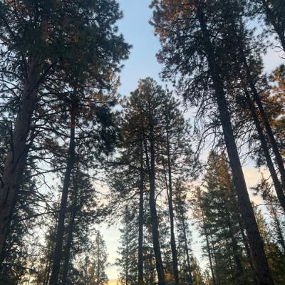 What you know before you go off-Grid