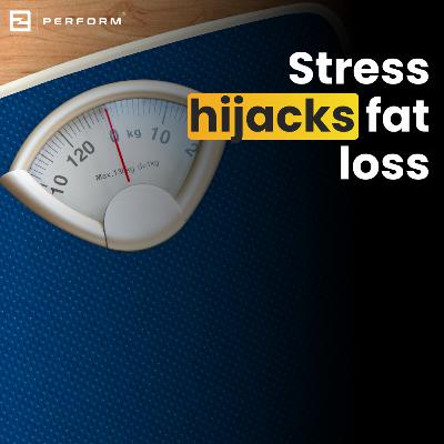 279. Your Emotions Are Making You Gain Weight