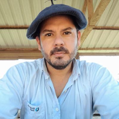 El Impacto de las "Garrapatas" en el ganado bovino