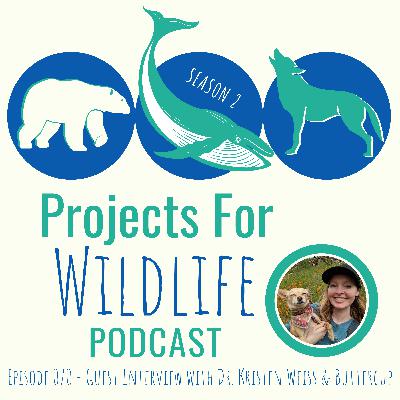 Episode 070 - Dr. Kristen Weiss and Buttercup the Oceanpup share how project commitment leads to impact Episode 070 - Dr. Kristen Weiss and Buttercup the Oceanpup share how project commitment leads to impact