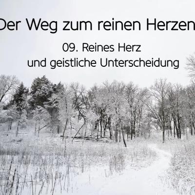 Der Weg zum reinen Herzen (9/9): Reines Herz und geistliche Unterscheidung