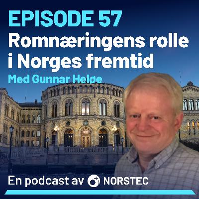Romnæringens rolle i Norges fremtid