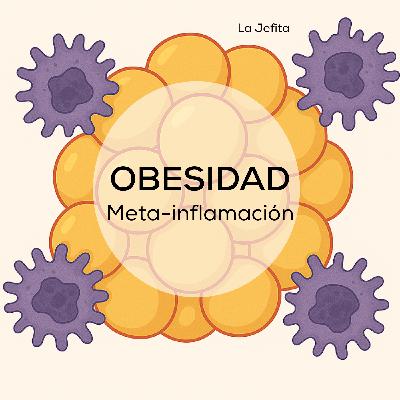 ¿Por qué el exceso de grasa prende a tu sistema inmune? ¿Qué es la meta-inflamación? ¿Por qué el exceso de grasa prende a tu sistema inmune? ¿Qué es la meta-inflamación?
