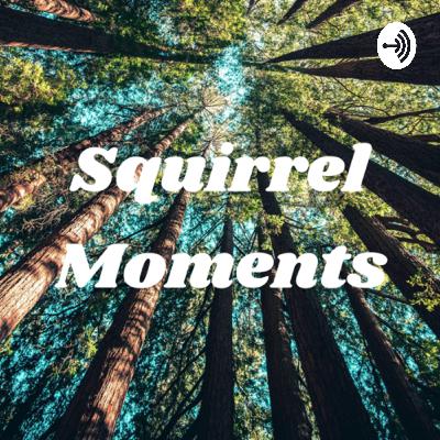 squirrel Moments (Trailer)