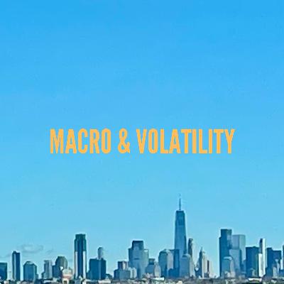 Macro & Volatility™ #22: Tempered Cross-Asset Volatility