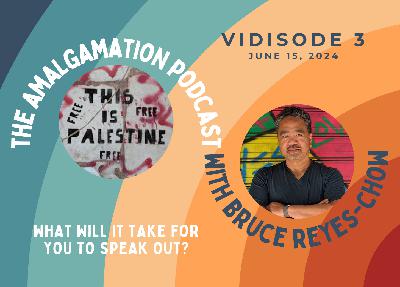 Vidisode 3: What will it take?