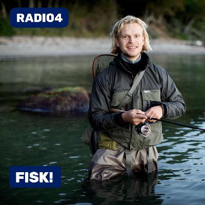 Lyt til podcasten ’Fisk!’ fra Radio4