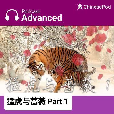 Advanced | 猛虎与蔷薇 Part 1 Advanced | 猛虎与蔷薇 Part 1