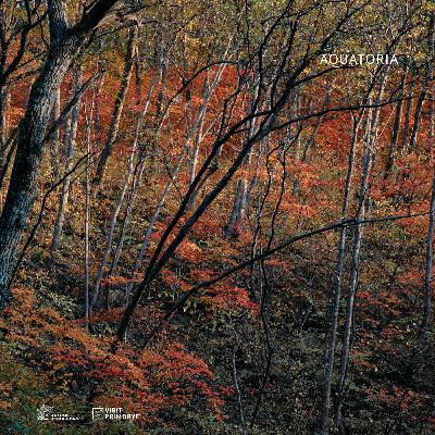 ГЛАВА ПЕРВАЯ. "ТРОПА ЛЕОПАРДА"