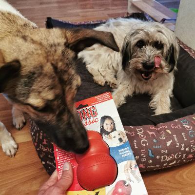 Episod 3: Enrichment