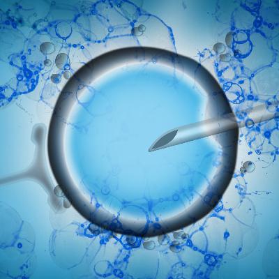 Visión semanal informativa | Los hijos de donantes quieren saber. "No buscamos una familia, buscamos la pieza que nos falta" Visión semanal informativa | Los hijos de donantes quieren saber. "No buscamos una familia, buscamos la pieza que nos falta"