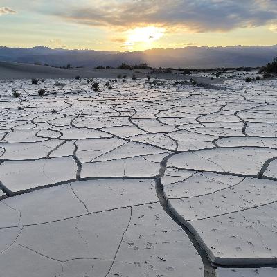 254. Scorpion stings: Live from Death Valley