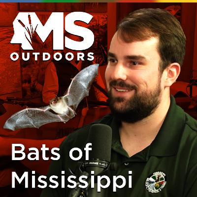 Inside Mississippi’s Bat Population with Jack Creely