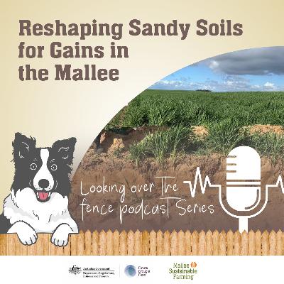 Reshaping Sandy Soils for Gains in the Mallee Reshaping Sandy Soils for Gains in the Mallee