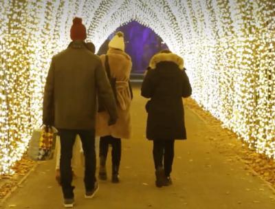 Lightscape! The San Francisco Botanical Garden! A library!