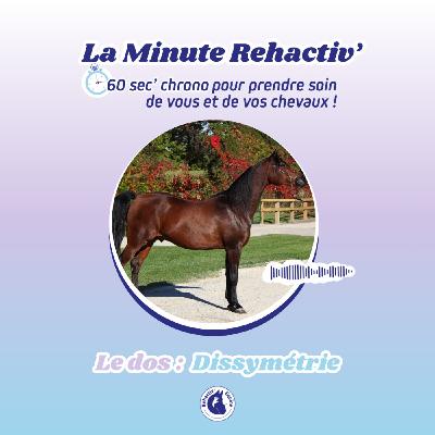 Le dos de votre cheval : Une dissymétrie