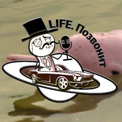 LIFE позвонит #4 — киты и дельфины LIFE позвонит #4 — киты и дельфины