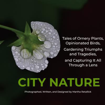 Martha Retallick - Nature Photographer and Writer