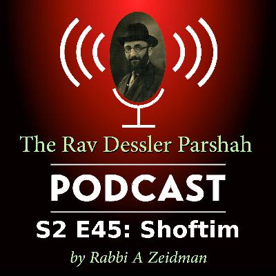 Shoftim: Why the Killer Goes Free When the Kohen Gadol Dies