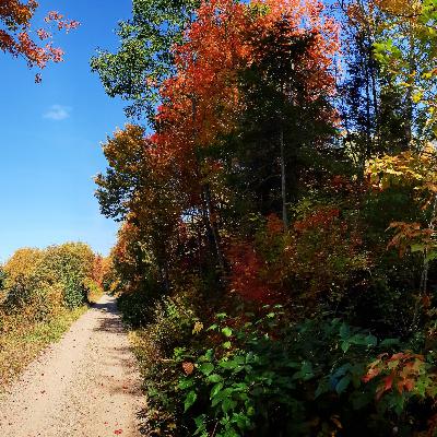 وقتی مردم رو اعصابمون رژه میرن چی کار کنیم؟