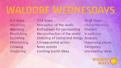 An Educational View of the The Seven Life Process