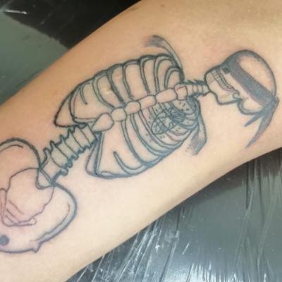 Dicen que loco! Bince Streack♤