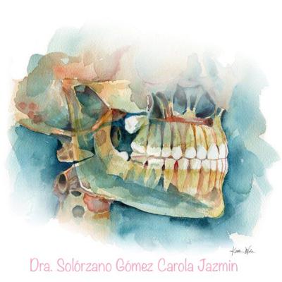 Anatomía Clínica De La Cavidad Oral