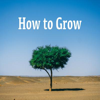 Seeking Your Gift | How to Grow: Part 5
