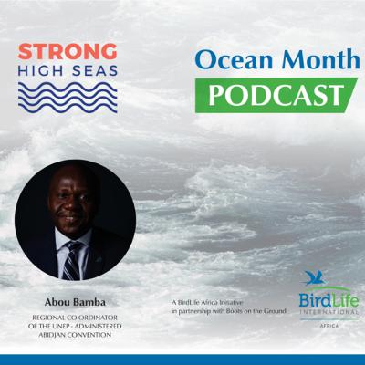 Mr. Abou Bamba On Ocean Governance