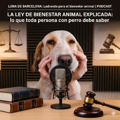 La Ley de Bienestar Animal explicada: lo que toda persona con perro debe saber. La Ley de Bienestar Animal explicada: lo que toda persona con perro debe saber.