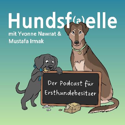 #112 -Spaziergänge: Mehr als nur Bewegung für den Hund