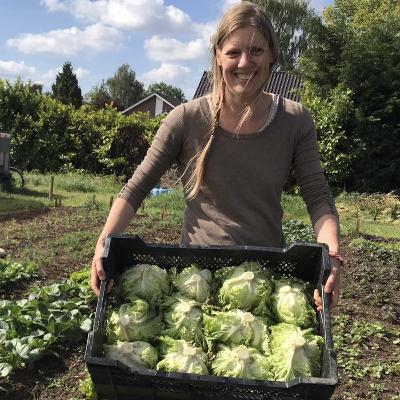 Toekomstboeren aan het woord: pionieren met no-dig
