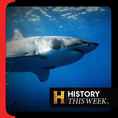 The Shark Attacks That Made Us Fear the Water