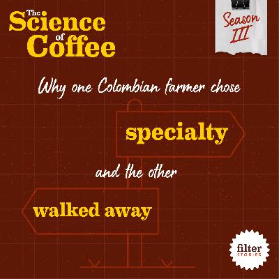Why one Colombian farmer chose specialty, and the other walked away
