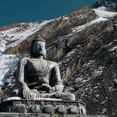 Ep. 542 Riflessioni su cosa insegna il Buddha