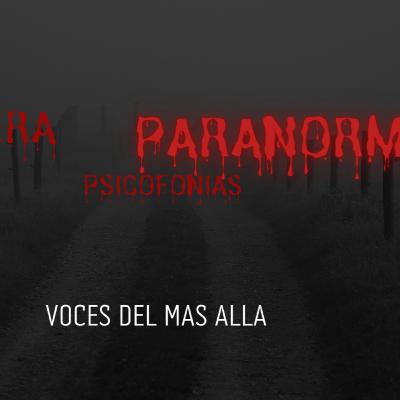 Psicofonias voces del mas alla