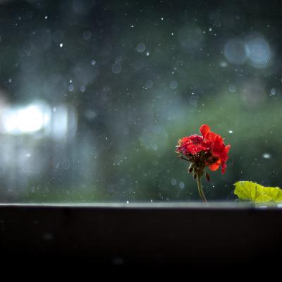 #69 Boring Magic and Brilliant Leadership