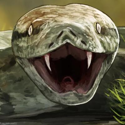 Titanoboa Wasn't The Largest Snake Ever... This Was