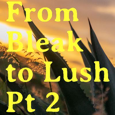 From Bleak to Lush Pt 2