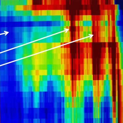 Second Sphinx Discovered Under Giza? Second Sphinx Discovered Under Giza?