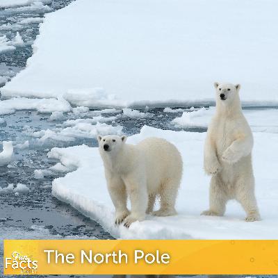 Fun Facts About the North Pole