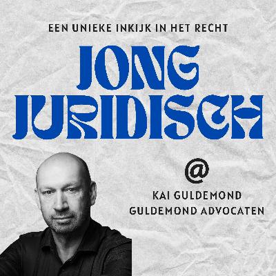 Kai Guldemond - De Ondernemingskamer, advocaat in Duitsland en Nederland, internationale klanten opbouwen en je eigen kantoor succesvol opzetten