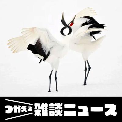 エスコンの近くにもタンチョウがいる　野鳥カメラマンが憂うメガソーラー増加＜つかえる雑談ニュース＞#370