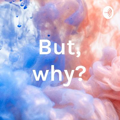 Welcome: “But, why?”