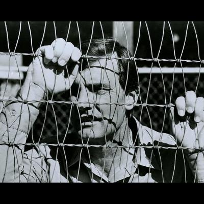 The Forgotten Man and Welcome Home, Johnny Bristol (Vietnam in the TV movie)