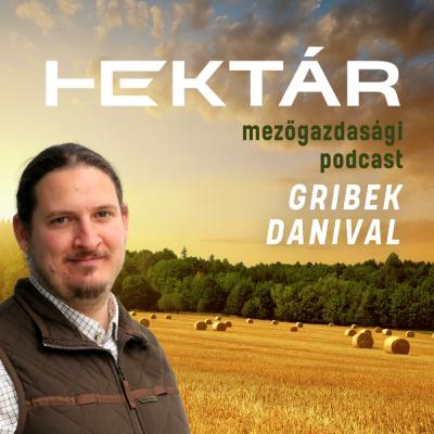 A regeneratív gazdálkodás a kiszáradó magyar agrárium utolsó esélye? Miért kellene 2 millió hektár? A regeneratív gazdálkodás a kiszáradó magyar agrárium utolsó esélye? Miért kellene 2 millió hektár?