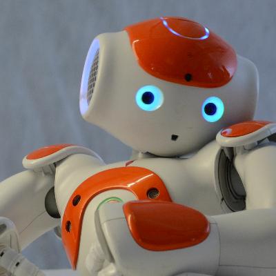 Podcast 2 De Robot Docent - 'Het HUB-Lab' Podcast 2 De Robot Docent - 'Het HUB-Lab'