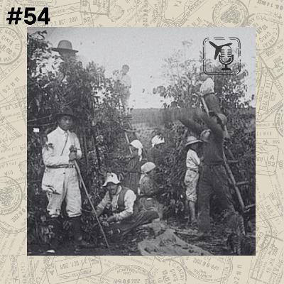 #54 - Shindo Renmei e o assassinato de imigrantes japoneses no Brasil - São Paulo | Brasil