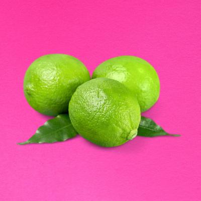 Episódio 5: Como funcionam os algoritmos das mídias sociais